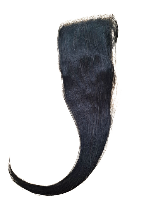 Virgin Brazilian 4X4 HD Lace Straight Closure  12A Grade