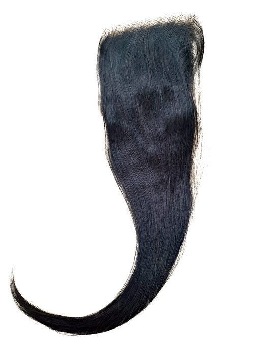 Virgin Brazilian 4X4 Transparent Lace Straight Closure 12A Grade
